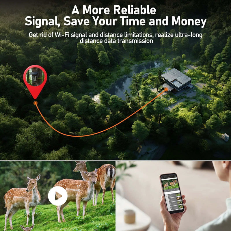 Solar 4G Trail Camera Hunting Camera by salelink.co.nz