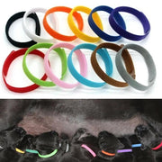 12 Colours Pet Whelping ID Collar Bands by salelink.co.nz