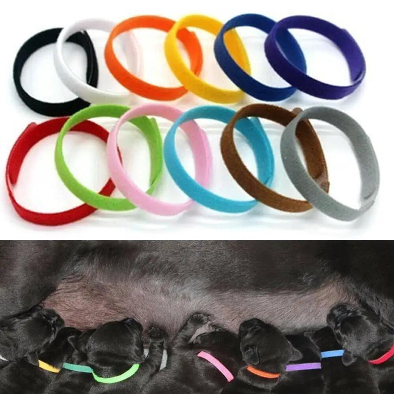 12 Colours Pet Whelping ID Collar Bands by salelink.co.nz