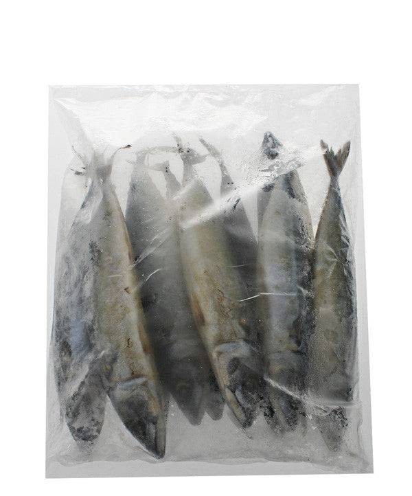 2kg Blue Mackerel Frozen Whole Salty Dog - Action Outdoors Kiwi