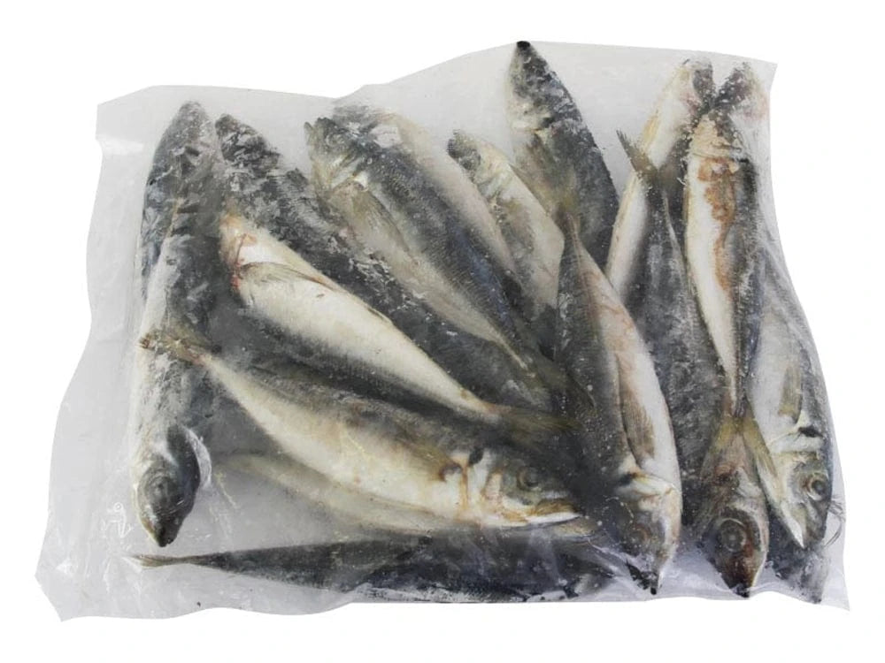 Salty Dog Bait General 2KG  Jack Mackerel SDJM2