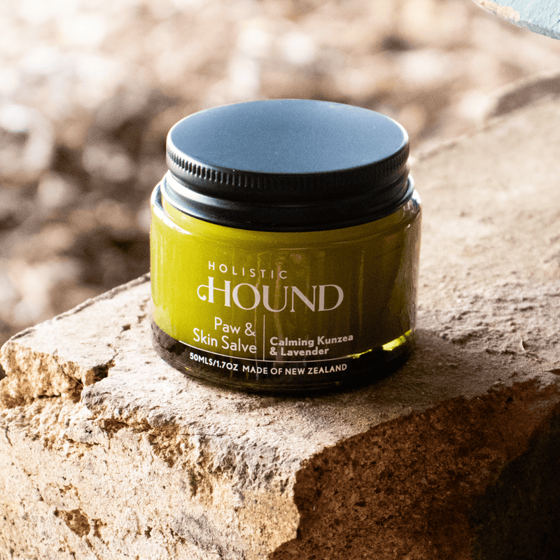 Animal Addiction Limited Dog Health Care Holistic Hound - Paw & Skin Salve 50g Holistic Hound - Paw & Skin Salve 50g