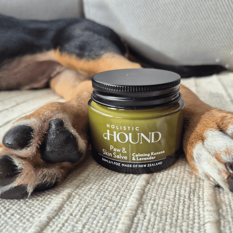 Animal Addiction Limited Dog Health Care Holistic Hound - Paw & Skin Salve 50g Holistic Hound - Paw & Skin Salve 50g