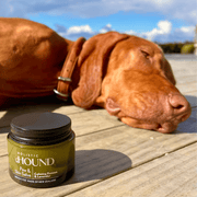 Animal Addiction Limited Dog Health Care Holistic Hound - Paw & Skin Salve 50g Holistic Hound - Paw & Skin Salve 50g