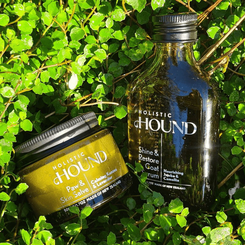 Animal Addiction Limited Dog Health Care Holistic Hound - Paw & Skin Salve 50g Holistic Hound - Paw & Skin Salve 50g