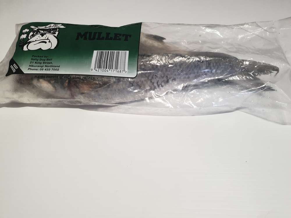 Mullet Twinpack Frozen Whole - Action Outdoors Kiwi