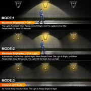 Solar Pathway Lights with Motion Sensor by Habicare