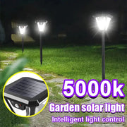 Solar Pathway Lights with Motion Sensor by Habicare