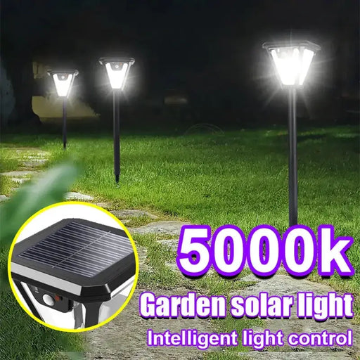 Solar Pathway Lights with Motion Sensor by Habicare