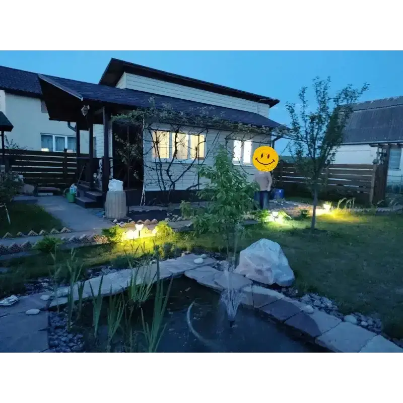Solar Pathway Lights with Motion Sensor by Habicare