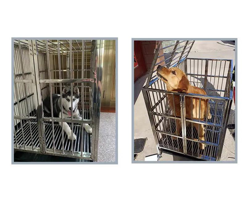 Collapsible Stainless Steel Pet Cage 110CM X - Large with Wheels by dealonline.co.nz