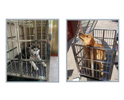 Collapsible Stainless Steel Pet Cage 124CM XX - Large with Wheels by dealonline.co.nz