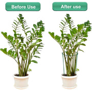 Sturdy Metal Outdoor Plant Support Stakes (2pcs) by Habicare