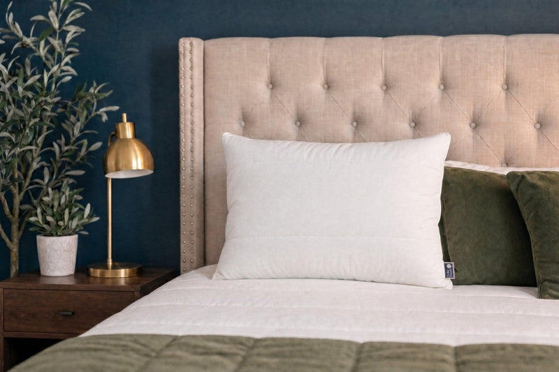 Air Support Hybrid Pillow by Do Not Disturb Sleep Company