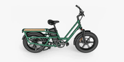 Kiwi eRide Kiwi eRide Fiido T2 Longtail Cargo E-bike Green Fiido T2 Longtail Cargo E-bike Green