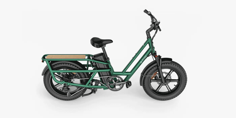 Kiwi eRide Kiwi eRide Fiido T2 Longtail Cargo E-bike Green Fiido T2 Longtail Cargo E-bike Green