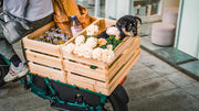 Kiwi eRide Kiwi eRide Fiido T2 Longtail Cargo E-bike Grey Fiido T2 Longtail Cargo E-bike Grey