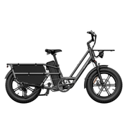 Kiwi eRide Kiwi eRide Fiido T2 Longtail Cargo E-bike Grey Fiido T2 Longtail Cargo E-bike Grey