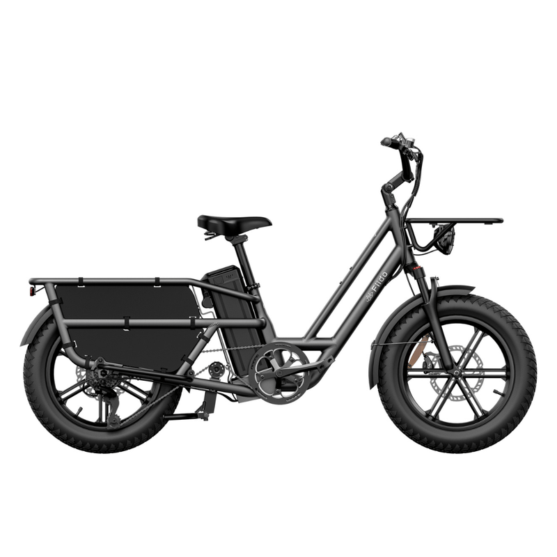 Kiwi eRide Kiwi eRide Fiido T2 Longtail Cargo E-bike Grey Fiido T2 Longtail Cargo E-bike Grey