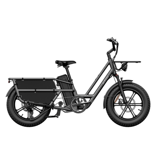 Kiwi eRide Kiwi eRide Fiido T2 Longtail Cargo E-bike Grey Fiido T2 Longtail Cargo E-bike Grey