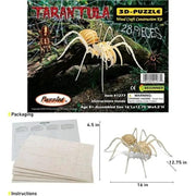 Tarantula by 9eight5