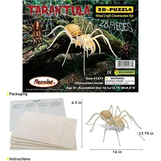 Tarantula by 9eight5
