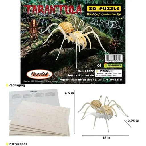 Tarantula by 9eight5