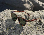 JACK/Tortoise Green by URBA VISTA