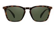 ISLA/Tortoise Green by URBA VISTA