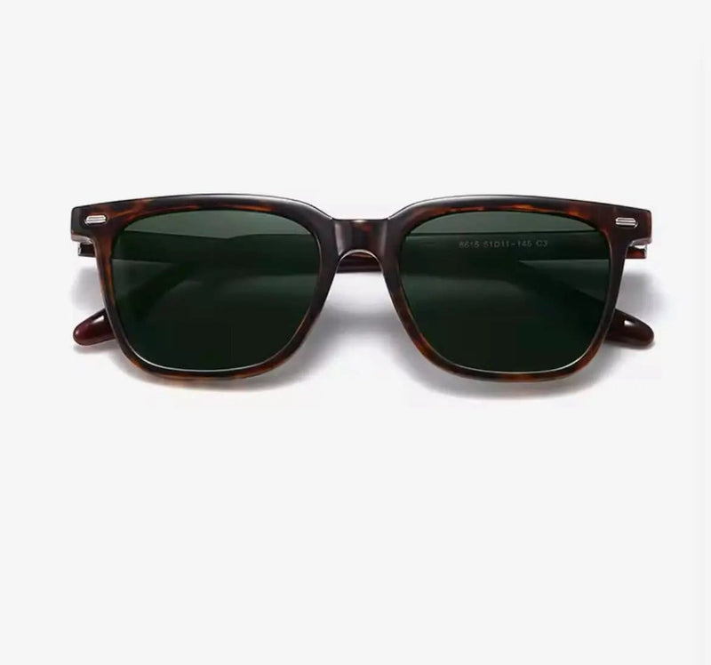 JACK/Tortoise Green by URBA VISTA