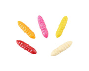 Balzer Fishing Lures Trout Collector Larva Bee Maggot Assortments - Scented Trout Collector Larva Bee Maggot Assortments - Scented