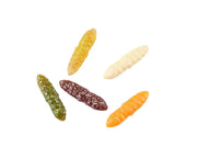 Balzer Fishing Lures Trout Collector Larva Bee Maggot Assortments - Scented Trout Collector Larva Bee Maggot Assortments - Scented