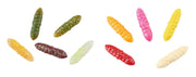 Balzer Fishing Lures Trout Collector Larva Bee Maggot Assortments - Scented Trout Collector Larva Bee Maggot Assortments - Scented