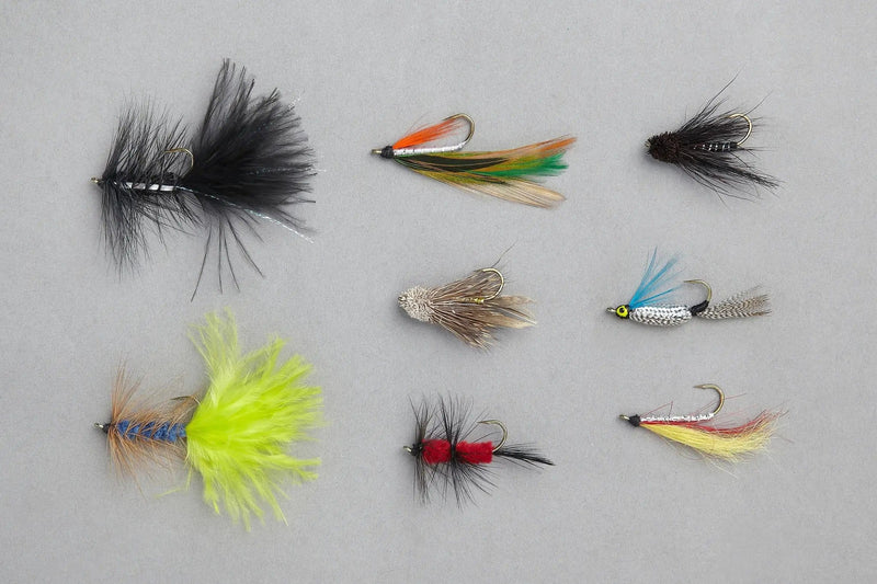 Balzer Fishing Lures Fly, Nymph and Streamer Assortment kits Fly, Nymph and Streamer Assortment kits