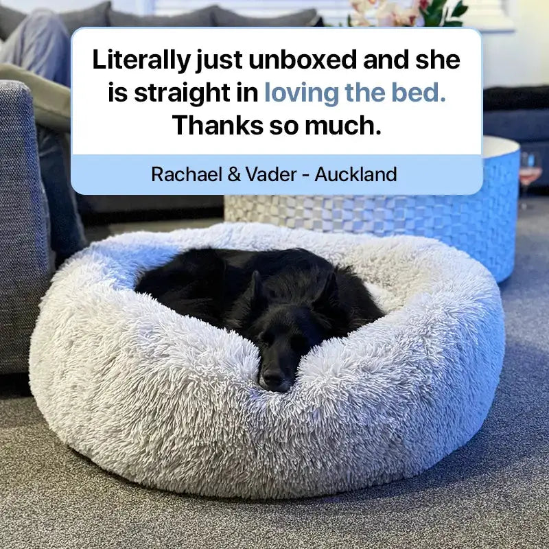 The Brooklyn Dog Beds Brooklyn® Deep Sleep Pet Bed Brooklyn Deep Sleep Calming Donut Dog Bed