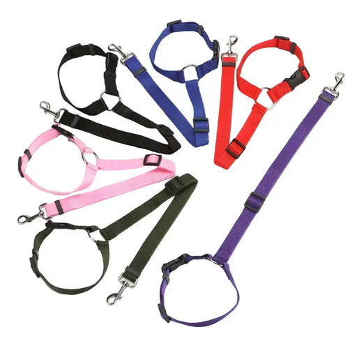 Vehcile Belt & Adjustable Nylon Leash for Dogs (7 colors available) by Habicare