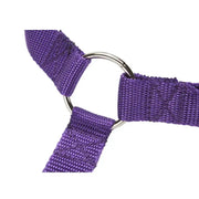 Vehcile Belt & Adjustable Nylon Leash for Dogs (7 colors available) by Habicare