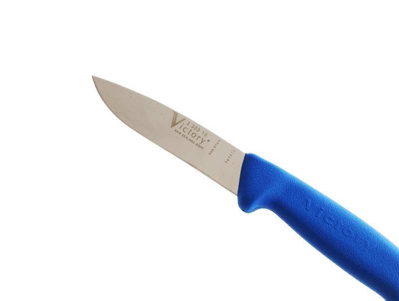 Drop Point Knife with Progrip Handle One Knife  3-303-10-202 featuring a 10cm stainless steel blade and blue handle.