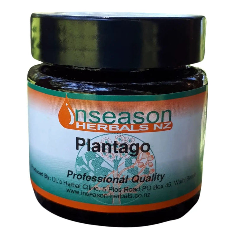 NZ Diver Plantago - Natural Remedy for Insect Bites and Stings Plantago - Natural Remedy for Insect Bites and Stings