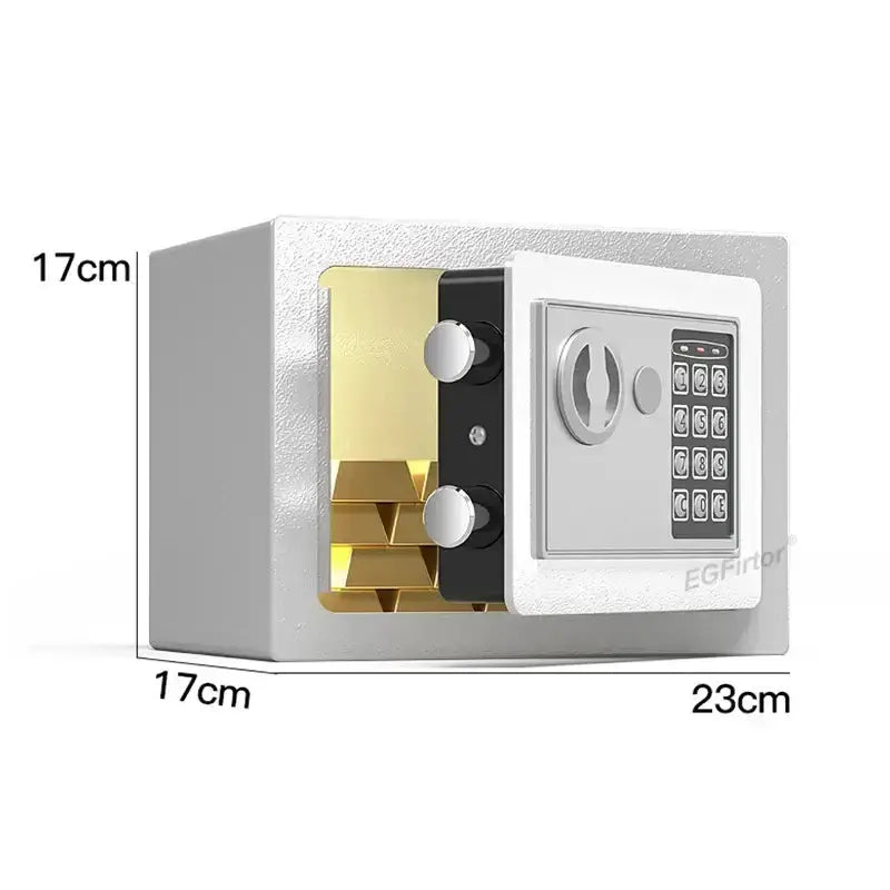 Wall-Mounted Password Safe with Alarm by Habicare