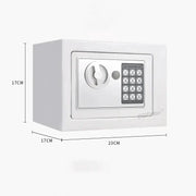 Wall-Mounted Password Safe with Alarm by Habicare