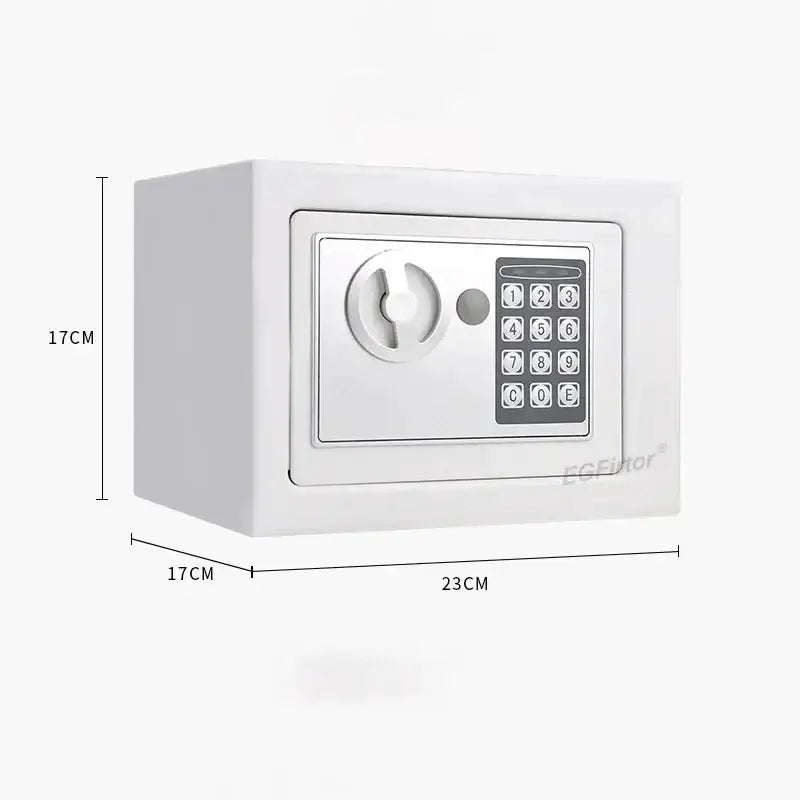 Wall-Mounted Password Safe with Alarm by Habicare