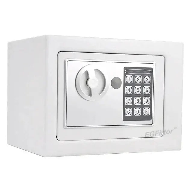 Wall-Mounted Password Safe with Alarm by Habicare
