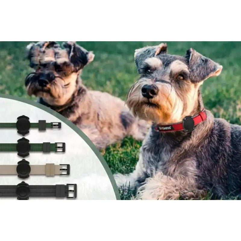 Waterproof Apple Air Tag Holder for Dogs by That Watch Shop