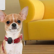 Waterproof Apple Air Tag Holder for Dogs by That Watch Shop
