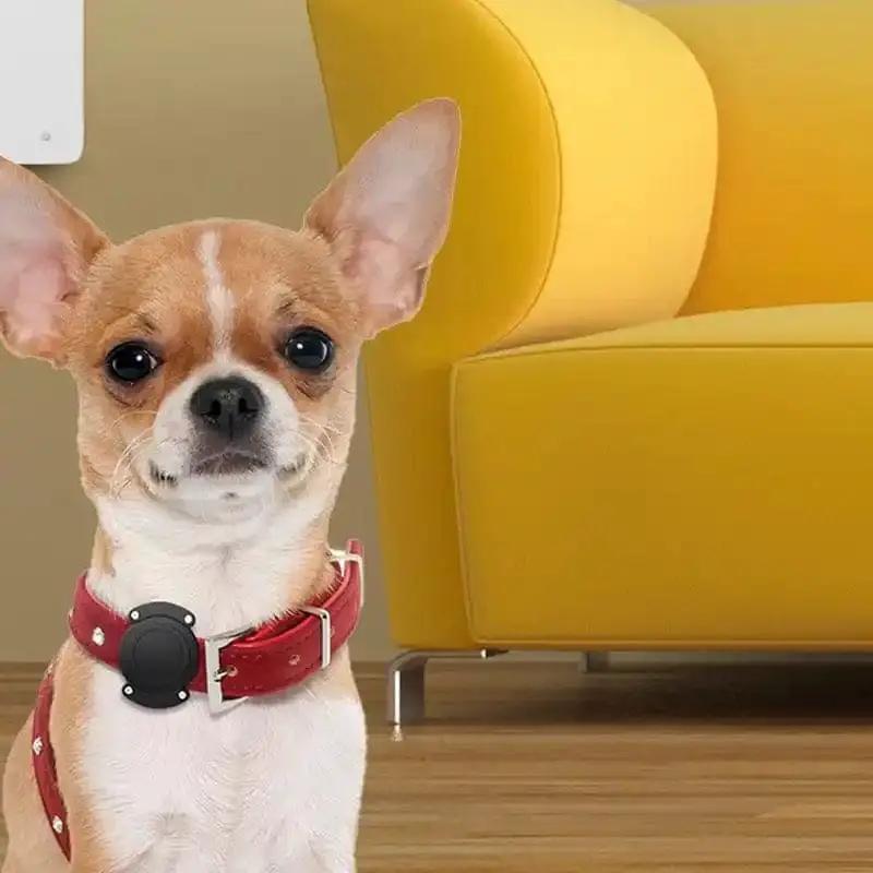 Waterproof Apple Air Tag Holder for Dogs by That Watch Shop