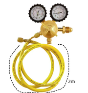 Nitrogen Regulator with 2M Hose by salelink.co.nz