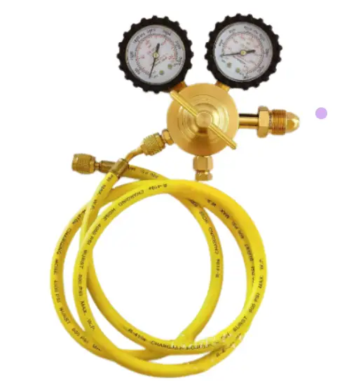 Nitrogen Regulator with 2M Hose by salelink.co.nz