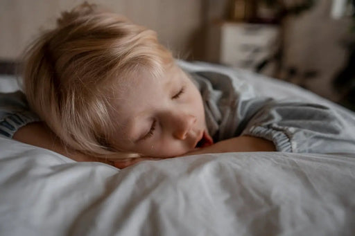 Wisewool™ Pillow Duvet by Do Not Disturb Sleep Company