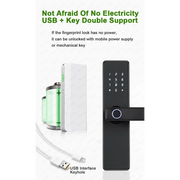 RAYKUBE K20 Biometric Fingerprint Door Lock by Habicare